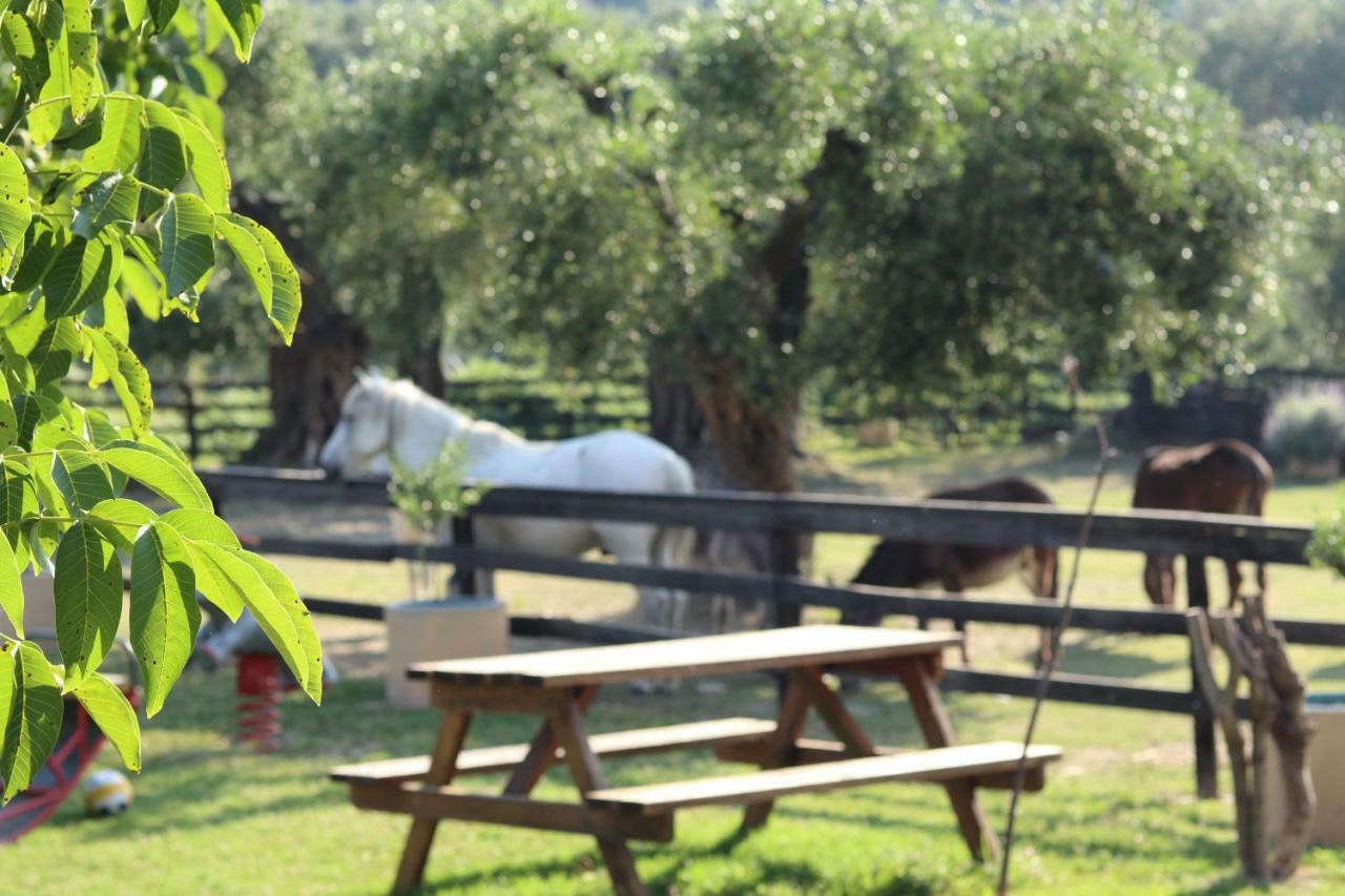 Honigtal Farmland Agios Georgios Pagon Exterior foto
