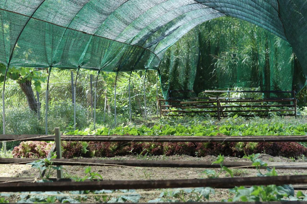 Honigtal Farmland Agios Georgios Pagon Exterior foto