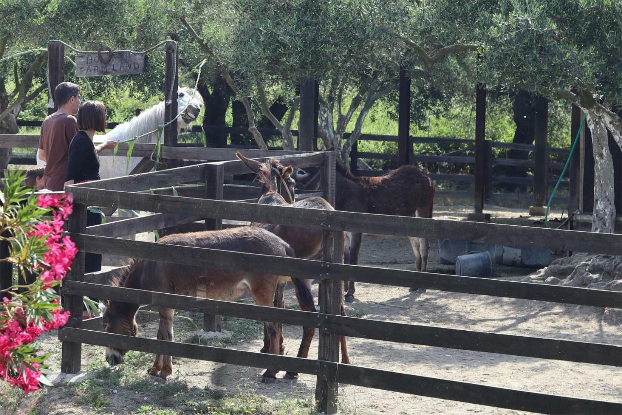Honigtal Farmland Agios Georgios Pagon Exterior foto